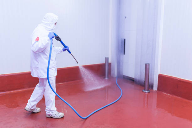 Best Paint Preparation  in Canastota, NY
