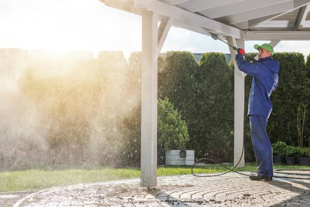 Best Dumpster Area Cleaning  in Canastota, NY