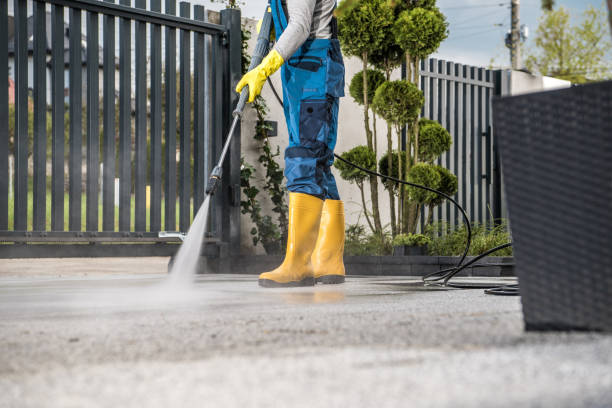 Best Roof Washing  in Canastota, NY